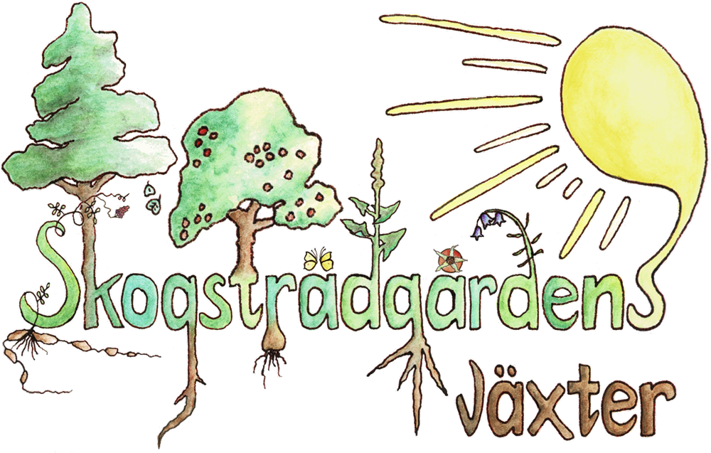 Skogsträdgårdens Växter Logotyp