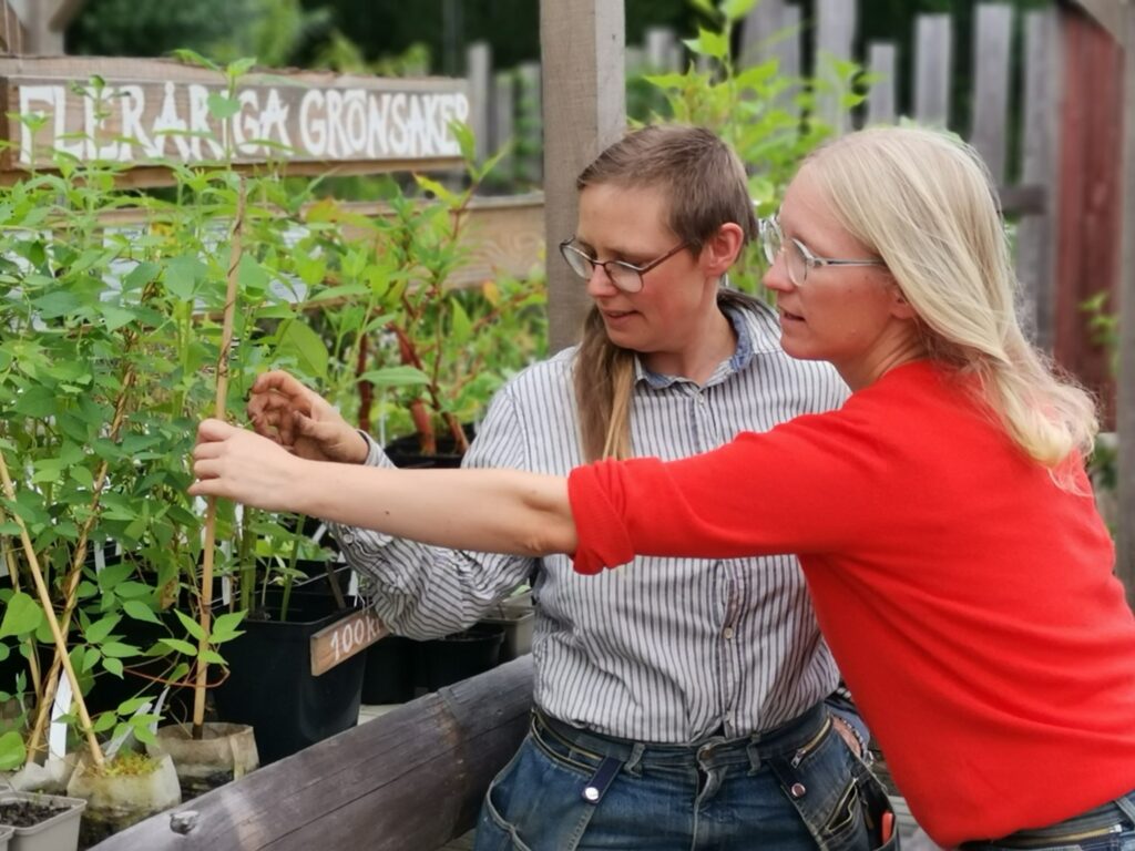 Hanna Jönsson och My Kjellberg som driver Skogsträdgårdens växter